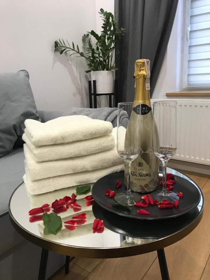 Apartament Przy Promenadzie Jelenia Góra Kültér fotó